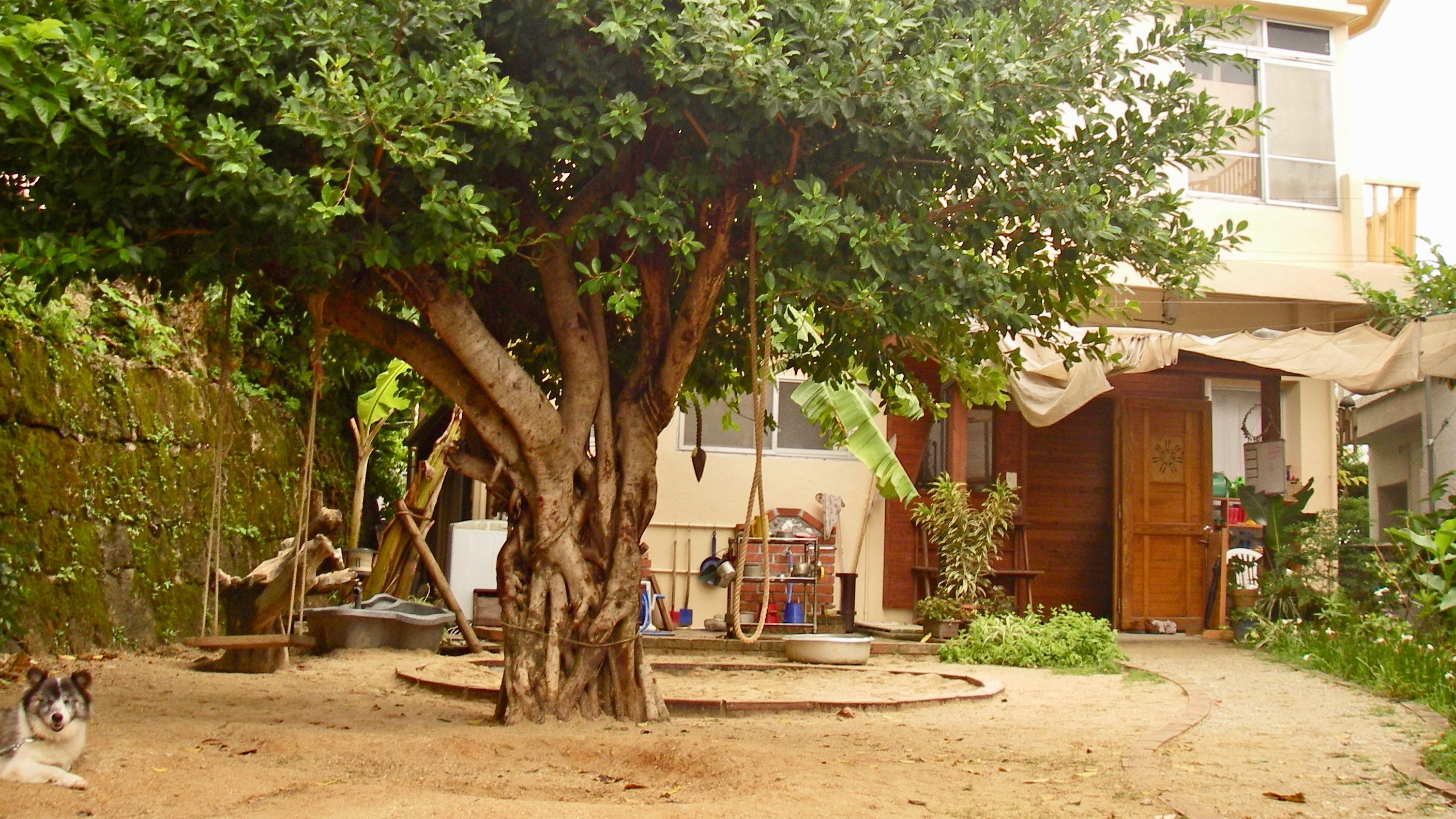 まあるサポーターズ