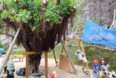 がじゅまる修復プロジェクトへ協力してくれた皆さんへ報告(ゆかりさんより:2019/03/14)